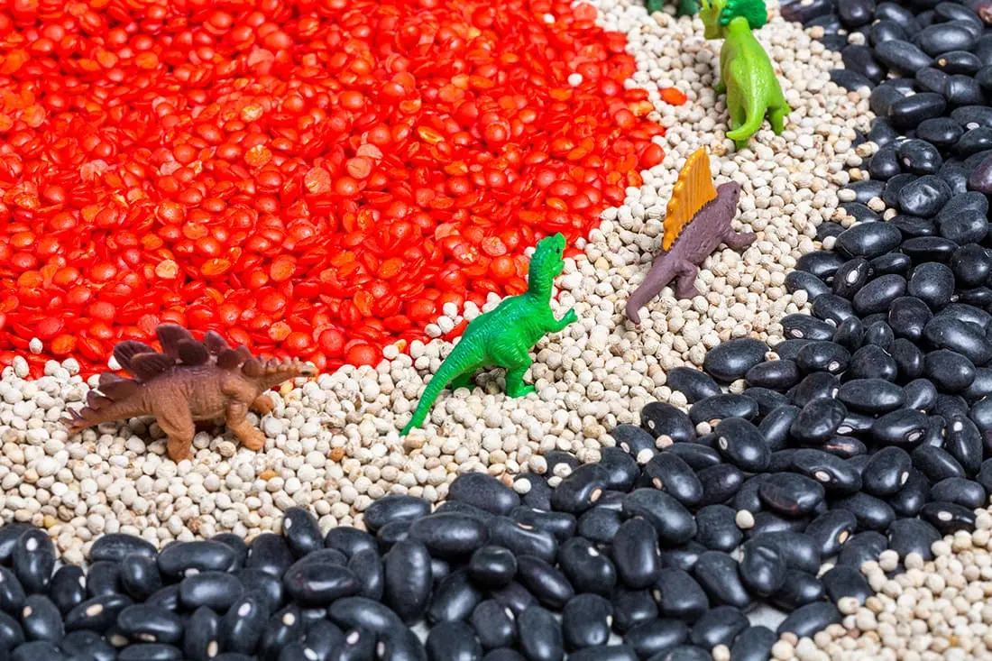 Bouteille sensorielle espionnage dinosaure – Image 3