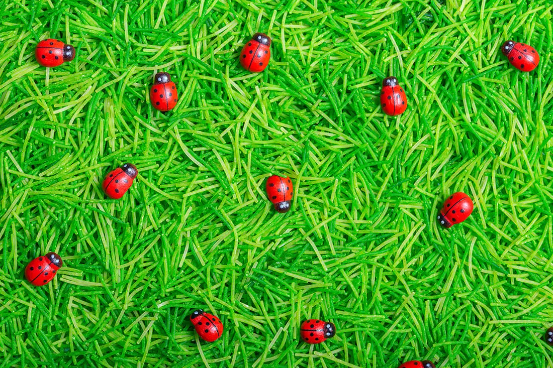 Bouteille sensorielle sonore coccinelle – Image 3