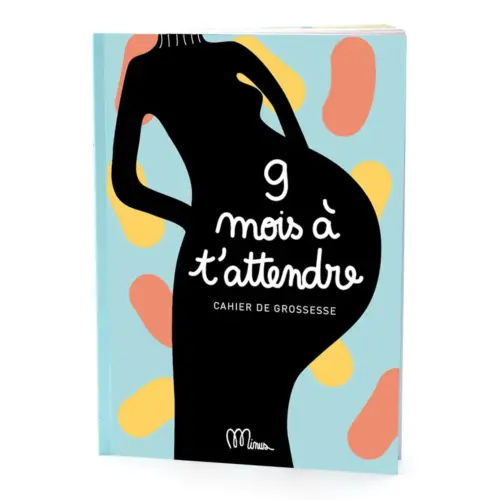 9 mois à t'attendre cahier de grossesse