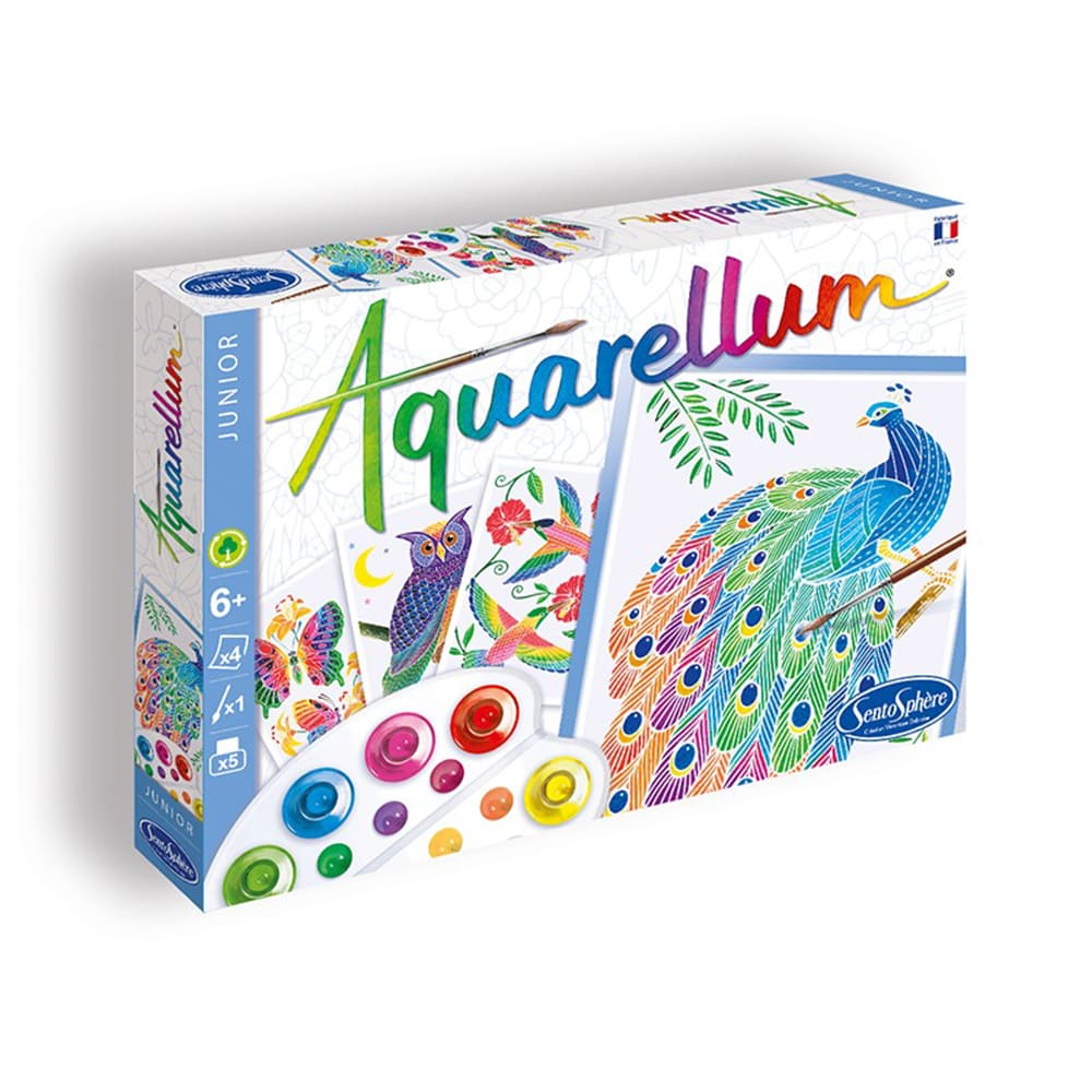 Aquarellum junior dans le parc
