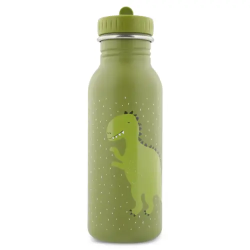 Gourde 500 ml Mr Dino