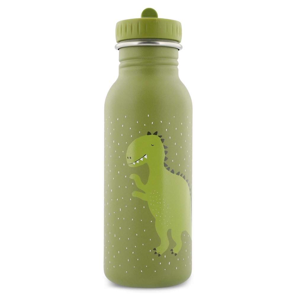Gourde 500 ml Mr Dino