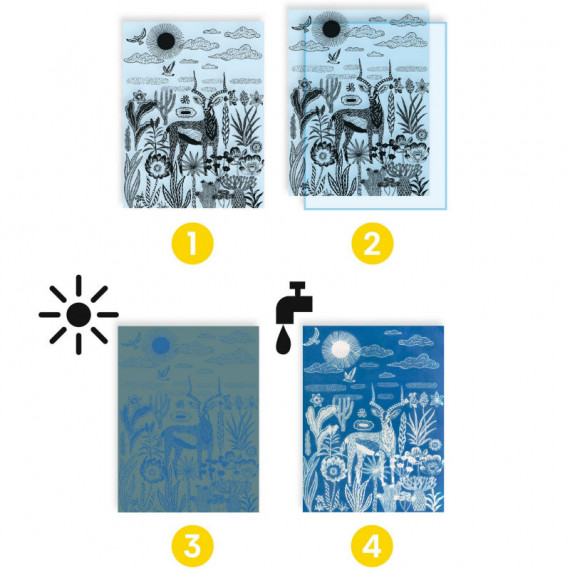 Cyanotype Savane Nocturne – Image 6