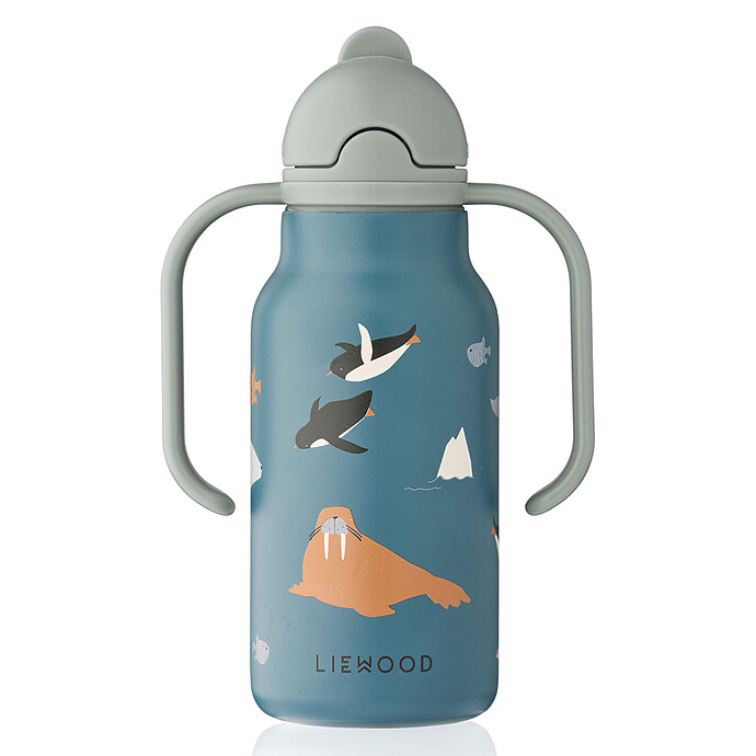 Gourde avec Poignées Kimmie Arctic / Ocean 250 ml