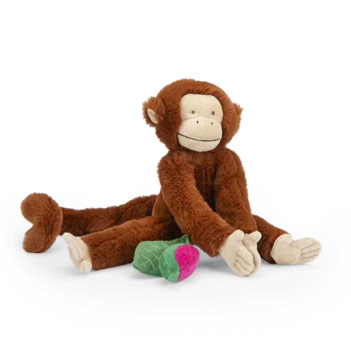Singe Mochica d'activités à suspendre - La forêt Mawa