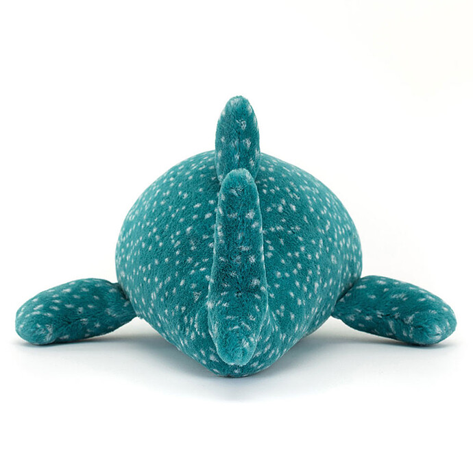 Gobfrey whale shark – Image 4
