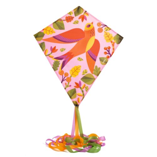 Cerf Volant Birdy